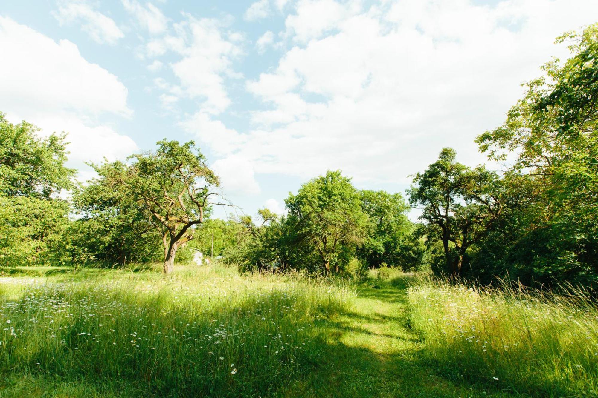 Feriendomizil Alter Garten Temmen-Ringenwalde Bagian luar foto