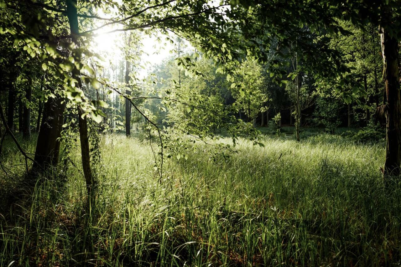 Feriendomizil Alter Garten Temmen-Ringenwalde Bagian luar foto
